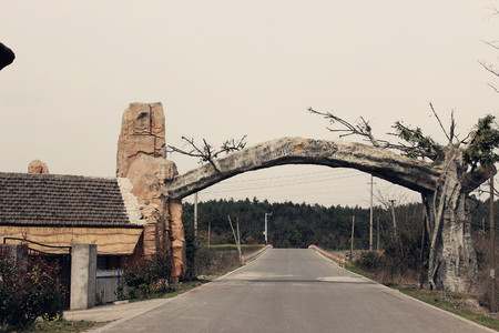 road viewの写真素材