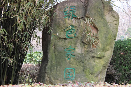 Sceneryのeditorial素材