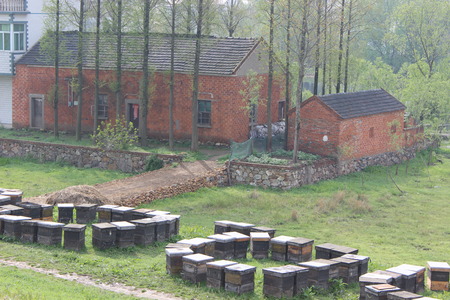 Spring flowers and plantsのeditorial素材