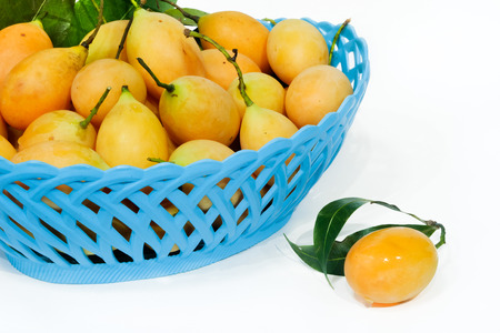marian plum in the blue basketの写真素材
