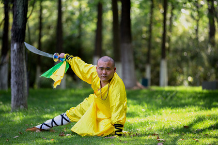 Kungfu