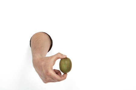 kiwi in handの写真素材