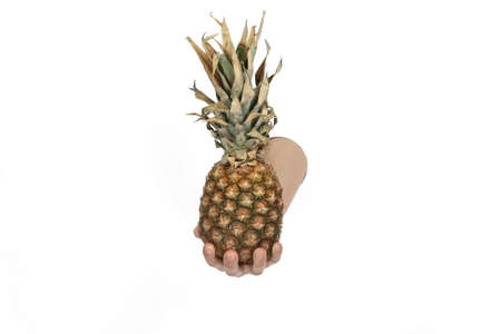 ripe  pine apple in handの写真素材