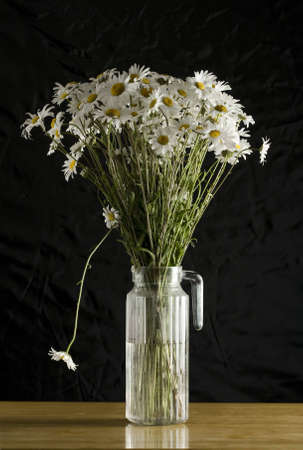 bunch of daisies in jugの写真素材