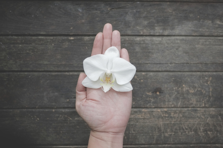White Orchid in a Handの写真素材