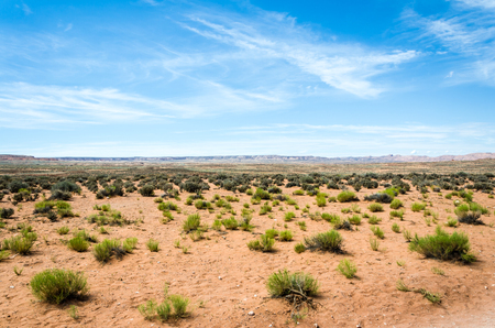 Scenic desert landscape with bushes and blue skyの写真素材