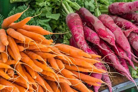 Fresh vegetables (carrots) at the farmers marketの写真素材