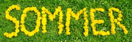 Banner image of the word summer (in German caption âSommerâ) written with dandelion flowers on green meadowの写真素材