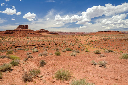 Scenic desert landscape with red mesas in the Valley of the Gods in Utah, United Statesの写真素材