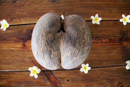 Seychelles double with flowers decorated on an old wooden tableの写真素材