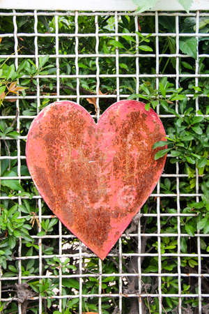 Old rusty heart on wooden rustic green backgroundの写真素材