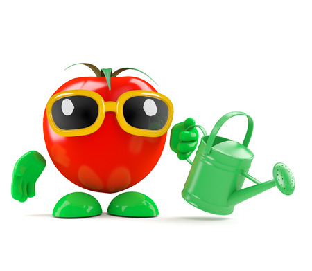 3d render of a tomato watering the gardenの写真素材