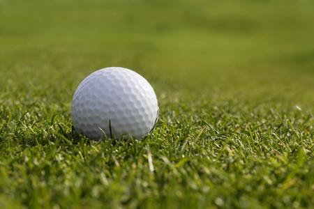 Blank gofl ball on grass in summerの写真素材