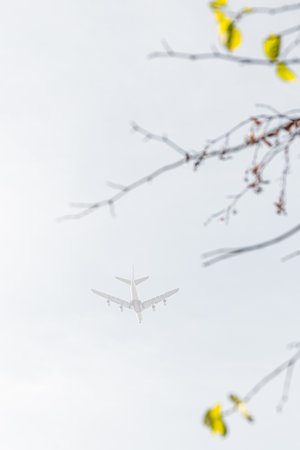 Airplane in fog in autumn leaves photoの写真素材