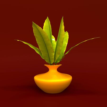 picture for a restaurant kitchen or cafe palm in a bowl juicyの写真素材