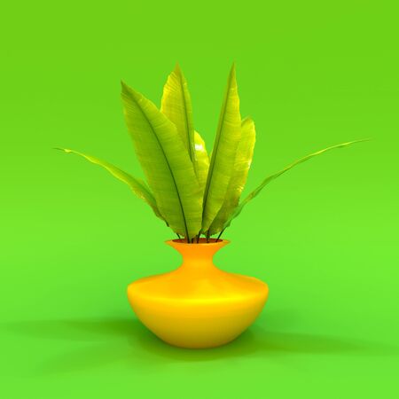 picture for a restaurant kitchen or cafe palm in a bowl juicyの写真素材