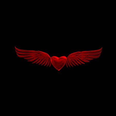 heart in love flies on wingsの写真素材