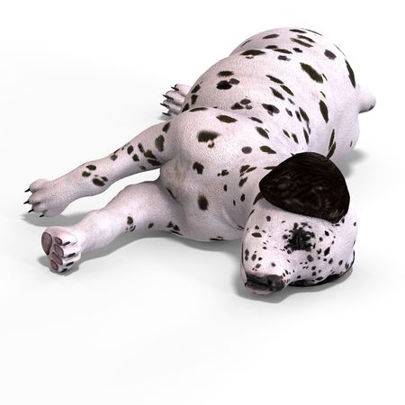 very cute young dog over white with Clippingの写真素材