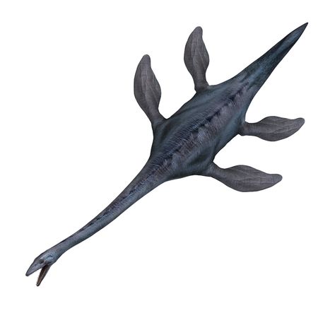 rendering of the giant sea dinosaur Elasmosaurus over whiteの写真素材