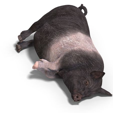 rendering of a young pig with Clipping and shadow over whiteの写真素材
