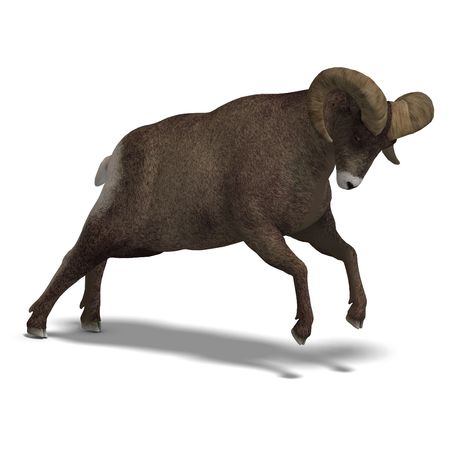 an aries ram with twisted horns. 3D render with clipping and shadow over whiteの写真素材