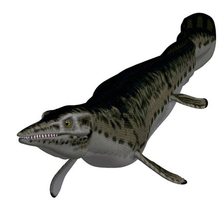 underwater dinosaur Mosasaur. 3D render with clipping and shadow over whiteの写真素材