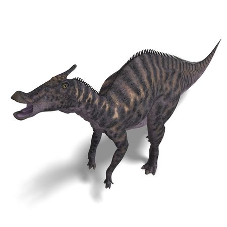 Dinosaur Saurolophus. 3D render with clipping and shadow over whiteの写真素材