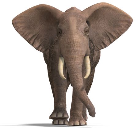 giant elephant. 3D render with clipping and shadow over whiteの写真素材