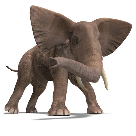 giant elephant. 3D render with clipping and shadow over whiteの写真素材