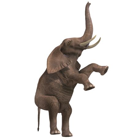 giant elephant. 3D render with clipping and shadow over whiteの写真素材
