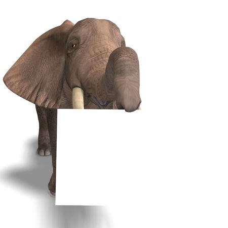 giant elephant holding a white sign. 3D render with clipping and shadow over whiteの写真素材