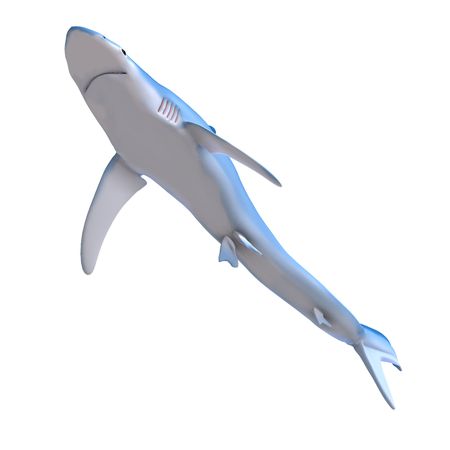 blue shark. 3D render with clipping and shadow over whiteの写真素材