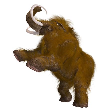 Rendering of a Mammoth over whiteの写真素材