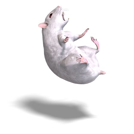 3D rendering of a sweet hamsterの写真素材