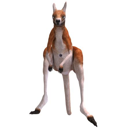 3D rendering of a big red kangaroo with clipping path and shadow over whiteの写真素材