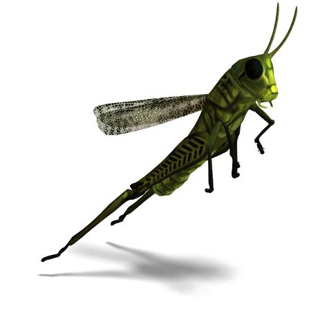 3D rendering of a green grasshopper with clipping path and shadow over whiteの写真素材