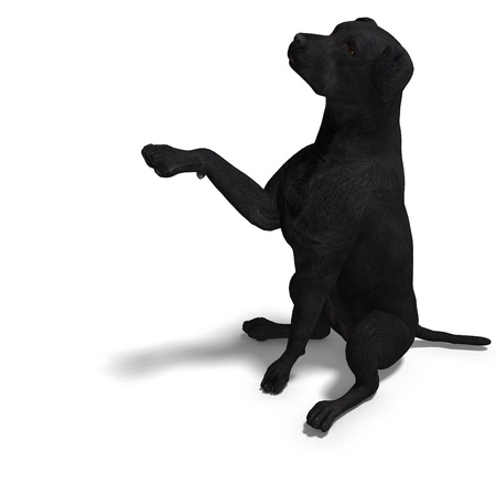 Labrador Retriever Dog. 3D rendering with   shadow over whiteの写真素材