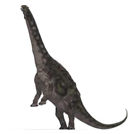 Dinosaur Diamantinasaurus. 3D rendering with  shadow over whiteの写真素材