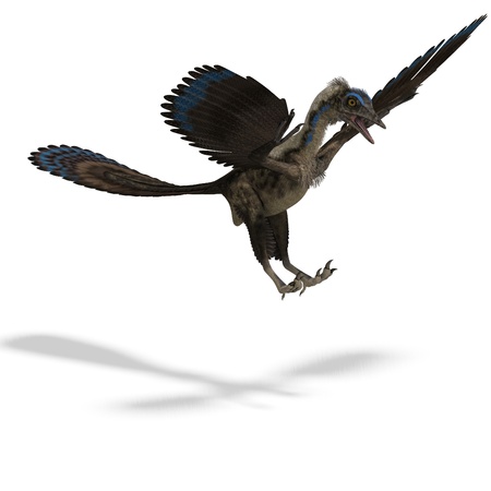 Dinosaur Archaeopteryx. 3D rendering  の写真素材