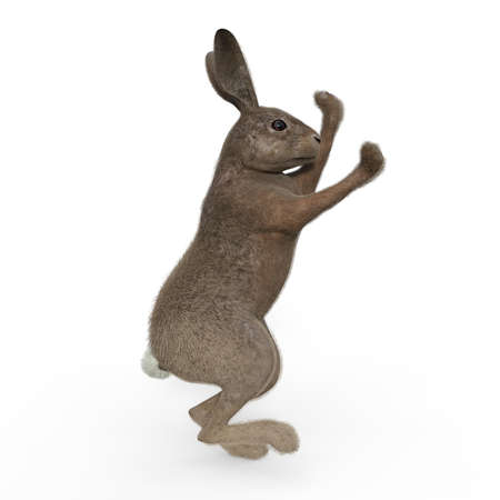 3d-illustration of an isolated standing rabbit animal petの写真素材