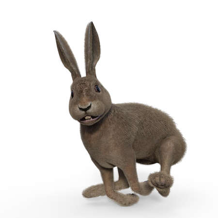 3d-illustration of an isolated running rabbit animal pet