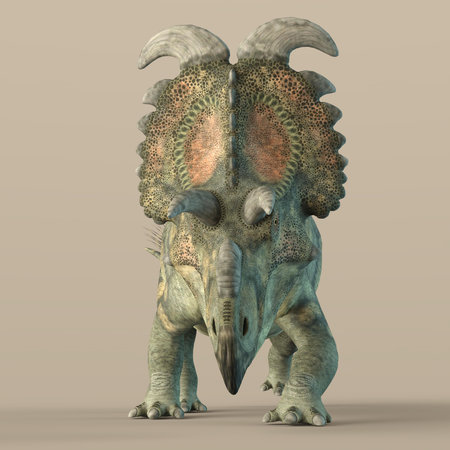 3d-illustration of an isolated extincted dinosaur albertaceratopsの写真素材