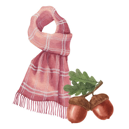 Winter clothes essential watercolor vector illustrationの写真素材