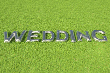 Text made with silver balloons on green grassの写真素材