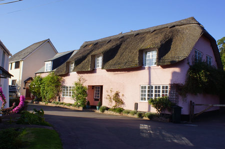 A traditional thatched roof cottage in the village of Dunster, Minehead, Somerset (UK)のeditorial素材