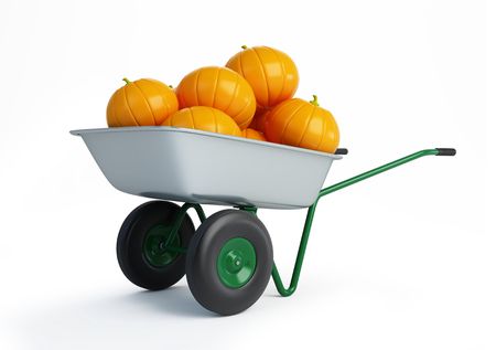 wheelbarrow pumpkins isolated on a white background の写真素材