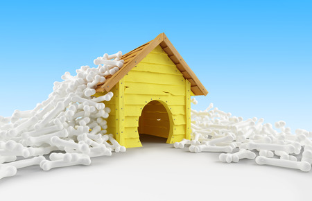 dog house many bones on a white backgroundの写真素材