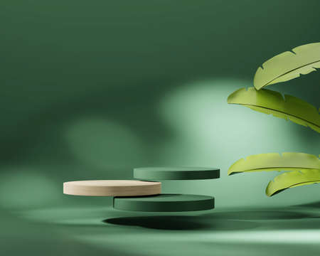Abstract Podium Platform Product Display with Banana Leaves 3D Renderingの写真素材