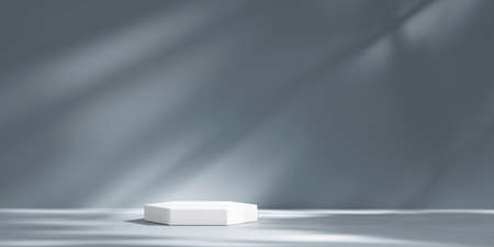 White hexagon stage podium platform for advertising product display background 3d renderingの写真素材