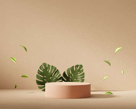 3D rendering platform podium with monstera product presentation backgroundの写真素材
